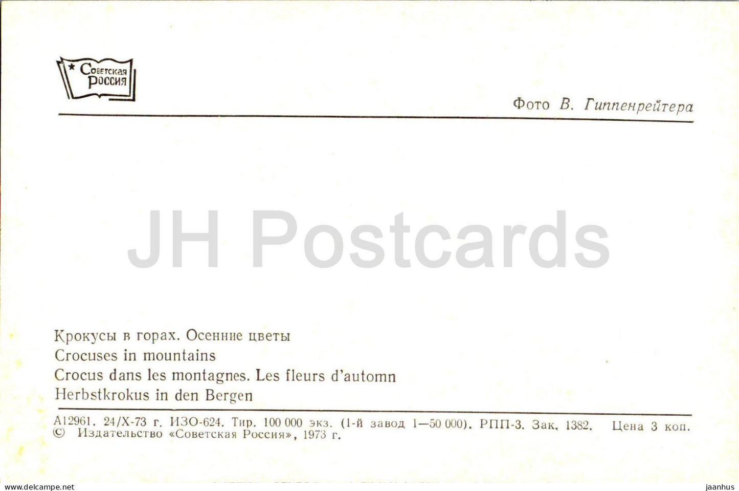 Région d'Elbrouz - Crocus dans les montagnes - fleurs - 1973 - Russie URSS - inutilisé 