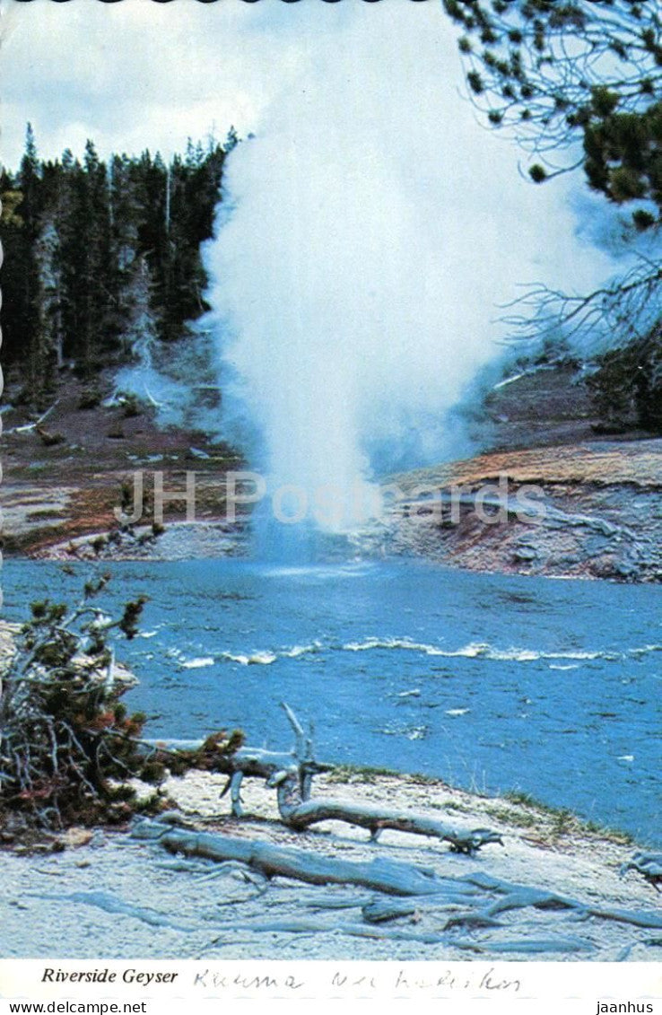Riverside Geyser in Yellowstone National Park - B1965 - USA - unused - JH Postcards