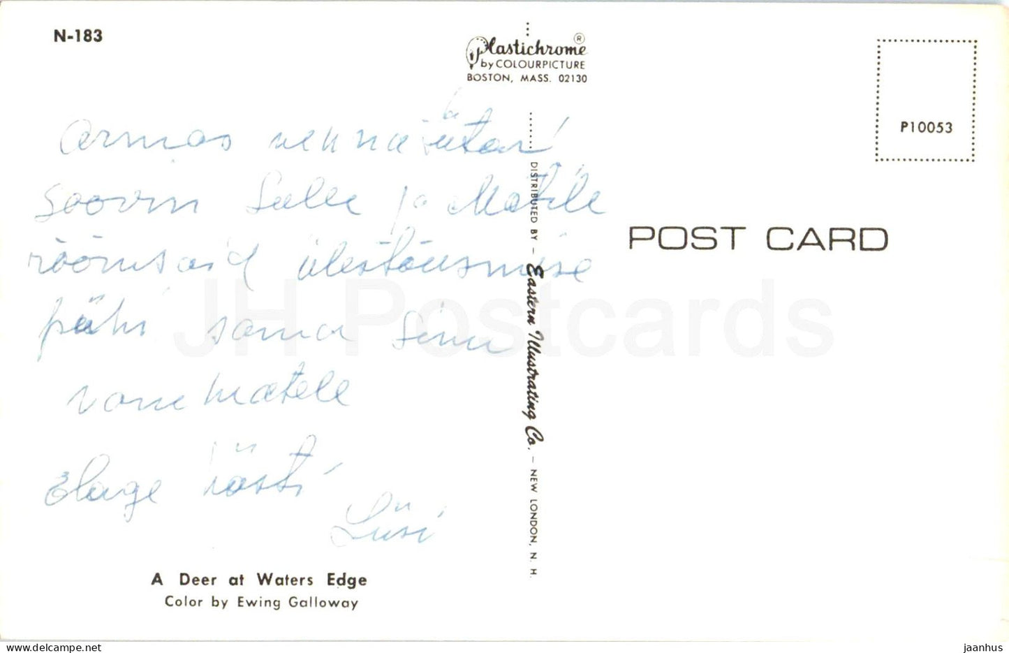 A Deer at Waters Edge - animal - forest - river - N 183 - USA - used