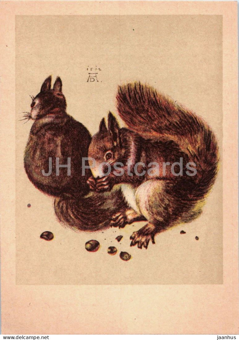watercolor by Albrecht Durer - Squirrels - Eichhornchen - squirrel - German art - old postcard - Germany - unused - JH Postcards