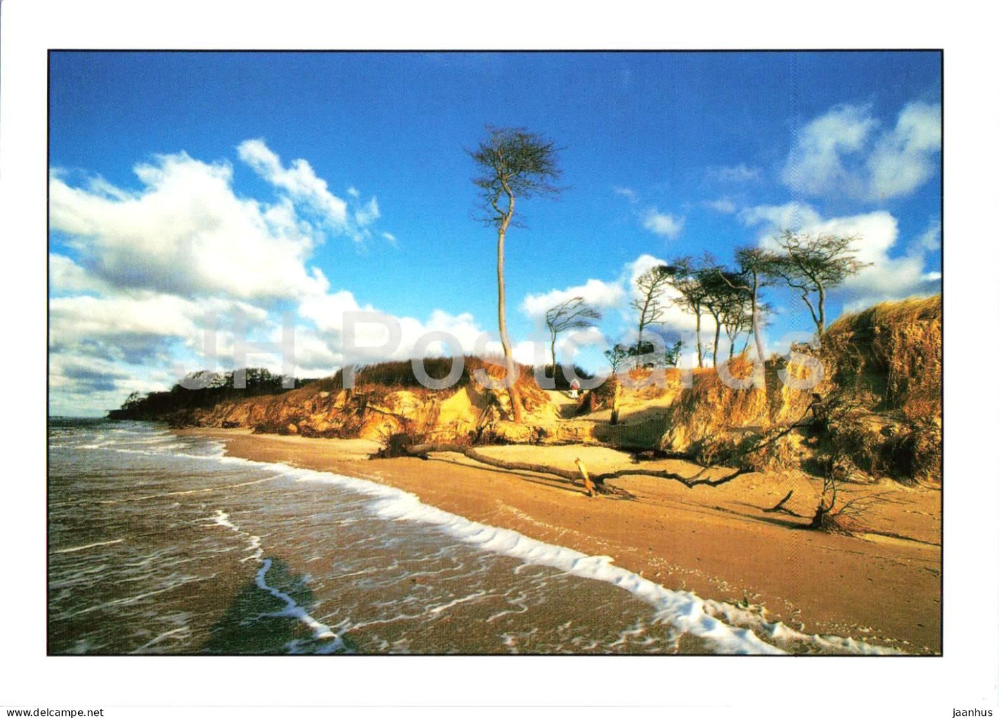 Darsser Weststrand - Darss - Baltic Sea - coast - dunes - beach - 059 - Germany - used - JH Postcards