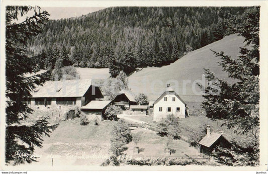 Gruss aus dem Froschnitztal 1073 m - mountain farm - Alps - 12228 - old postcard - 1939 - Austria - used - JH Postcards