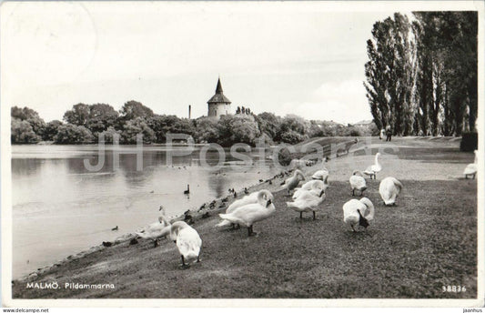 Malmo - Pildammarna - Pildammsparken - lake swans park birds - 38836 - old postcard - 1956 - Sweden - used - JH Postcards