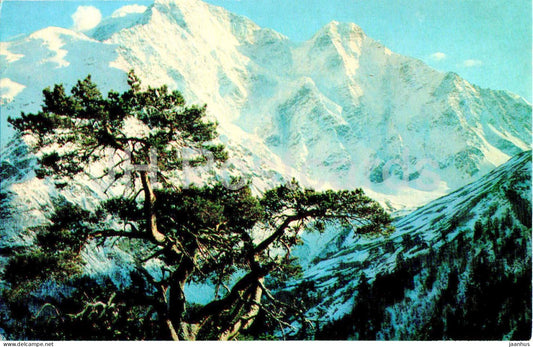 Elbrus region - The Donguz Orun and Nakra Tau peaks - 1973 - Russia USSR - unused - JH Postcards