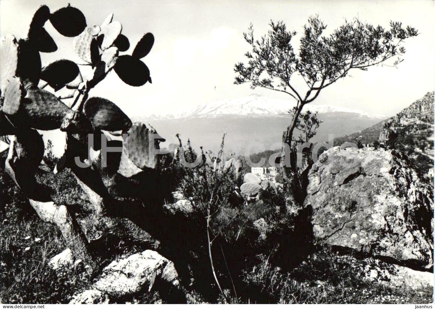 Taormina - L Etna m. 3276 - volcano - Mount Etna - Sicily - 3119 - old postcard - 1959 - Italy - used - JH Postcards