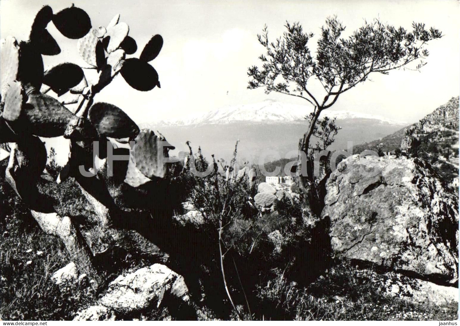 Taormina - L Etna m. 3276 - volcano - Mount Etna - Sicily - 3119 - old postcard - 1959 - Italy - used - JH Postcards
