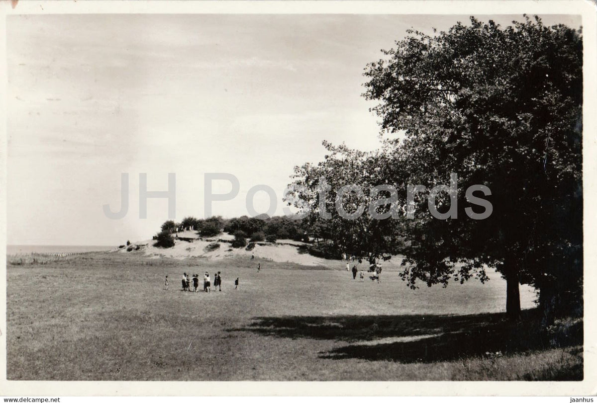 Valkeveen Naarden - meadow at the childrens holiday home - old postcard - 1949 - Netherlands - used - JH Postcards