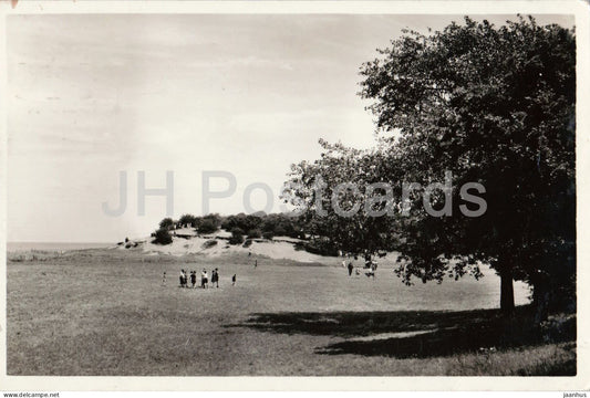 Valkeveen Naarden - meadow at the childrens holiday home - old postcard - 1949 - Netherlands - used - JH Postcards