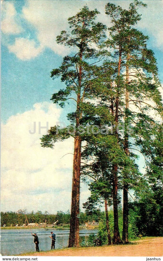 Shatura - on the shore of Lake Belaya - Turist - 1975 - Russia USSR - unused - JH Postcards