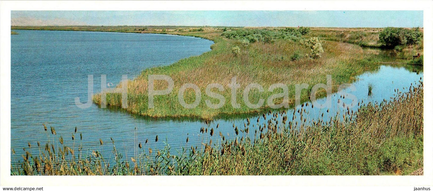 Tigrovaya Balka Nature Reserve - Reeds - 1983 - Tajikistan USSR - unused - JH Postcards