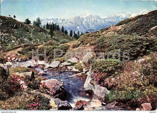 Am Simplonpass - mountains - Alps - 8079 - 1968 - Switzerland - used - JH Postcards