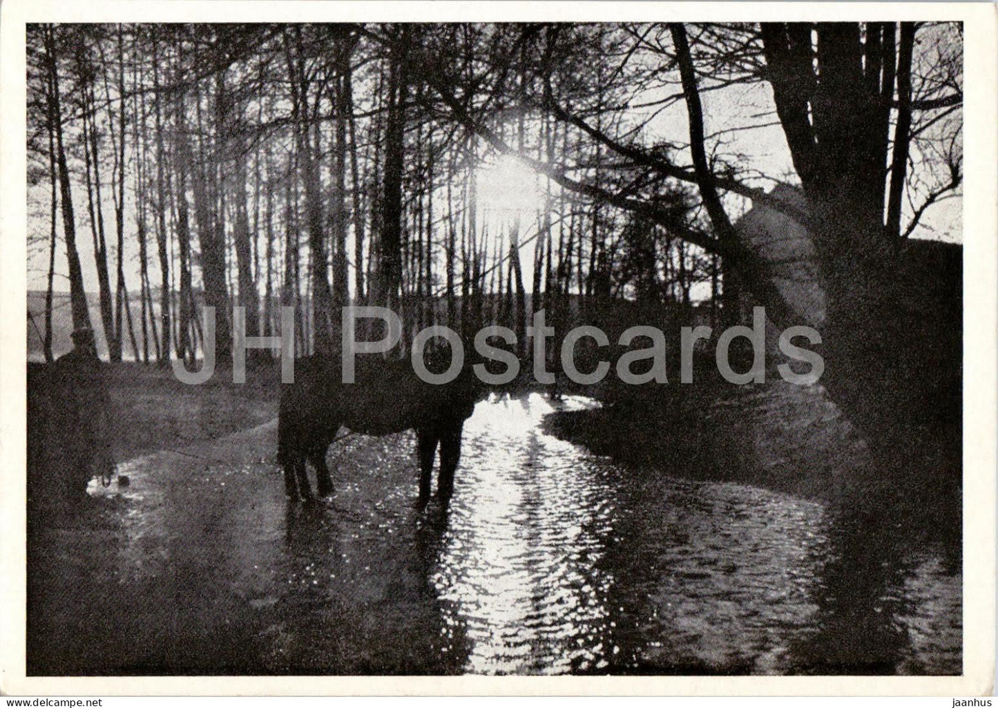Im Dramatal - Kreis Gleiwitz - Drama Valley - horse - Gliwice - Schlesien - Silesia - old postcard - Poland - unused - JH Postcards