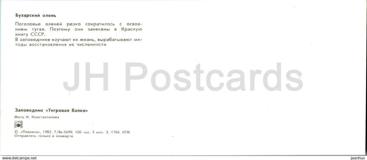 Tigrovaya Balka Nature Reserve Bactrian deer - Bukhara deer - Cervus elaphus bactrianus 1983 - Tajikistan USSR - unused