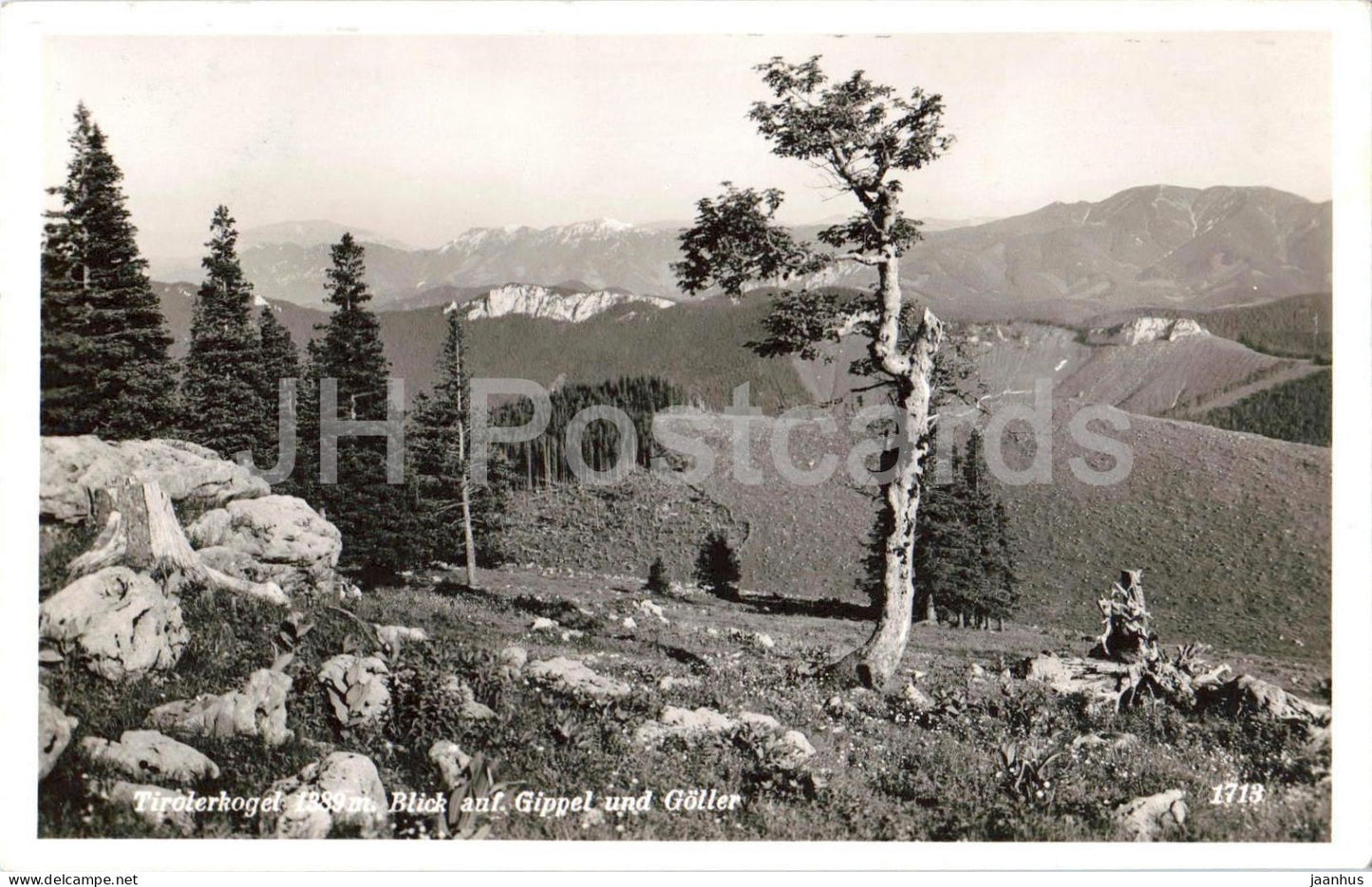Tirolerkogel 1389 m Blick auf Gippel und Goller - 1713 - old postcard - Austria - used - JH Postcards