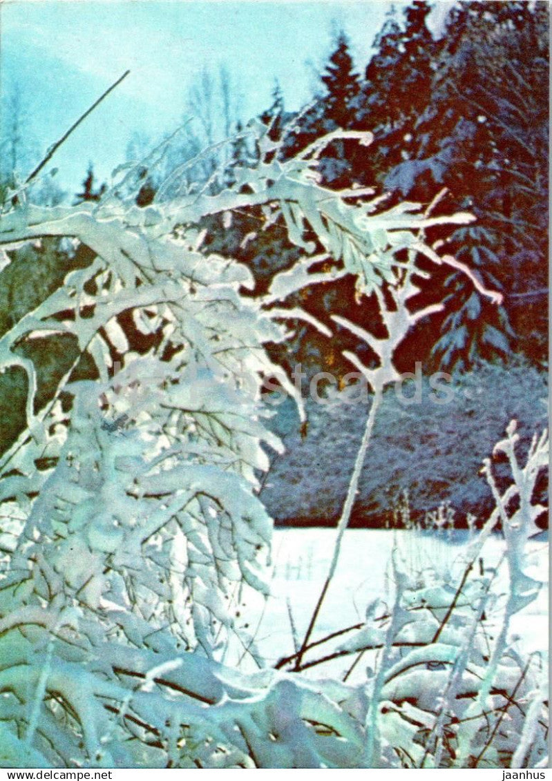 New Year Greeting card - winter landscape - 1978 - Estonia USSR - used - JH Postcards