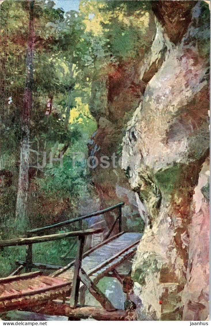 Steinwandklamm 520 m - wooden bridge in gorge - illustration - 6 - old postcard - Austria - unused - JH Postcards