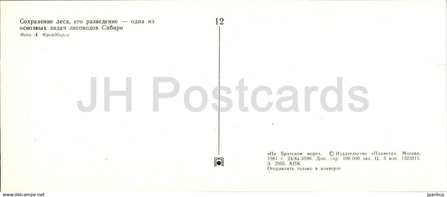 Bratsk-Stausee - Sibirischer Wald - Tiere - Hirsche - Zapfen - 1 - 1981 - Russland UdSSR - unbenutzt