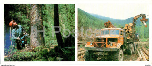 in logging - forest industry - car - truck - chainsaw - Khakassia - 1986 - Russia USSR - unused - JH Postcards