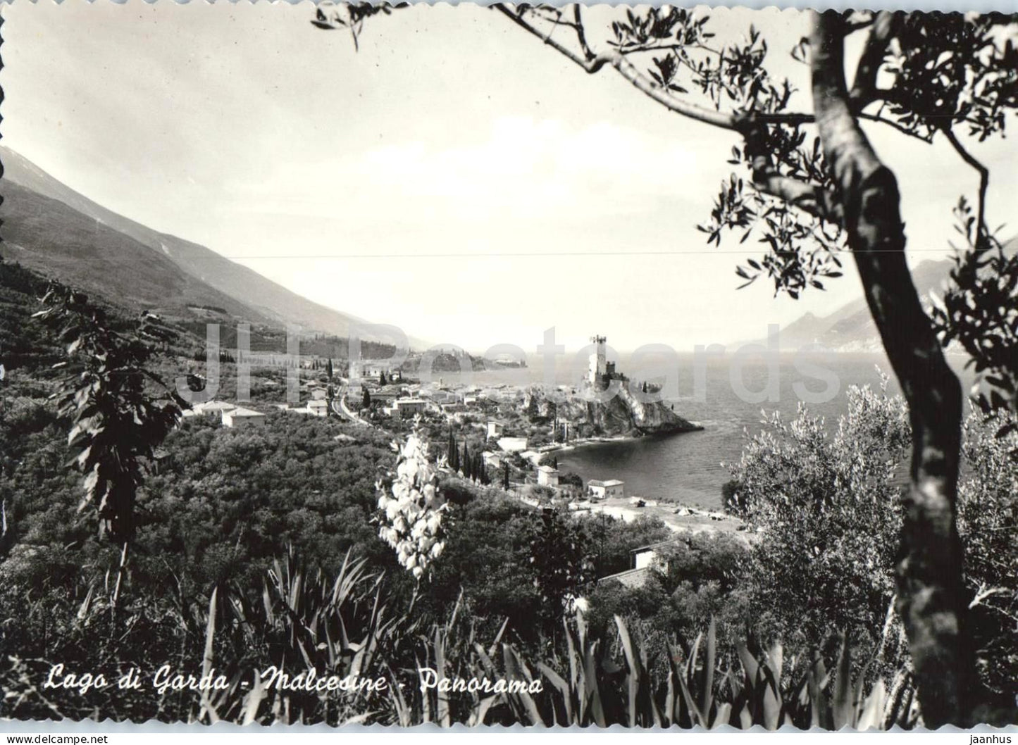 Lago di Garda - Malcesine - Panorama - lake - town - castle - mountains - 2520 - old postcard - Italy - unused - JH Postcards