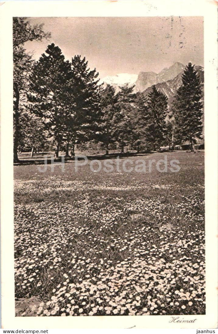 Falknis - Landquart - Heimat - mountain panorama - 23/3119 - old postcard - 1924 - Switzerland - used - JH Postcards