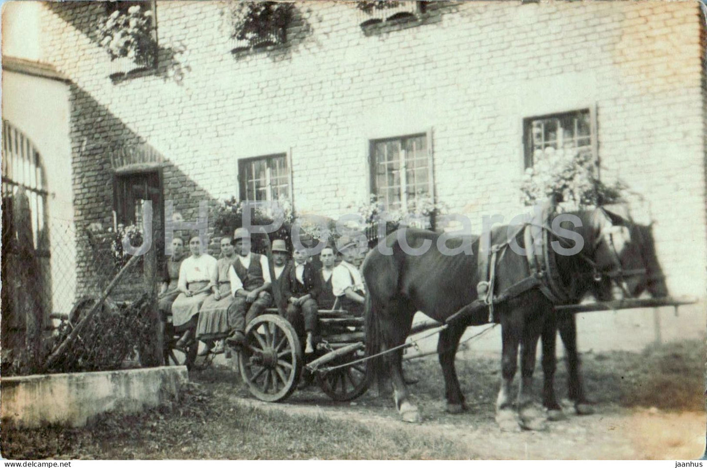 Mattighofen ? - group portrait with horse-drawn wagon - horse - 3288 - photo - old postcard - Austria - used - JH Postcards