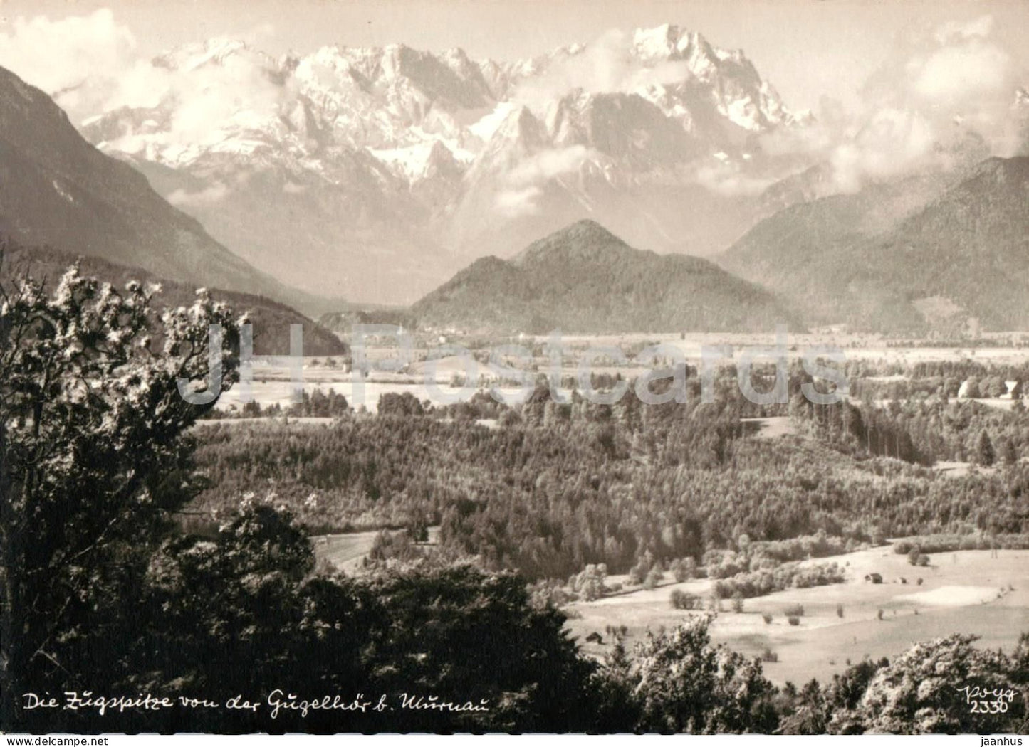 Die Zugspitze von der Gugelhor b Murnau - mountains - alpine valley - panorama - 2330 - old postcard - Germany - unused - JH Postcards