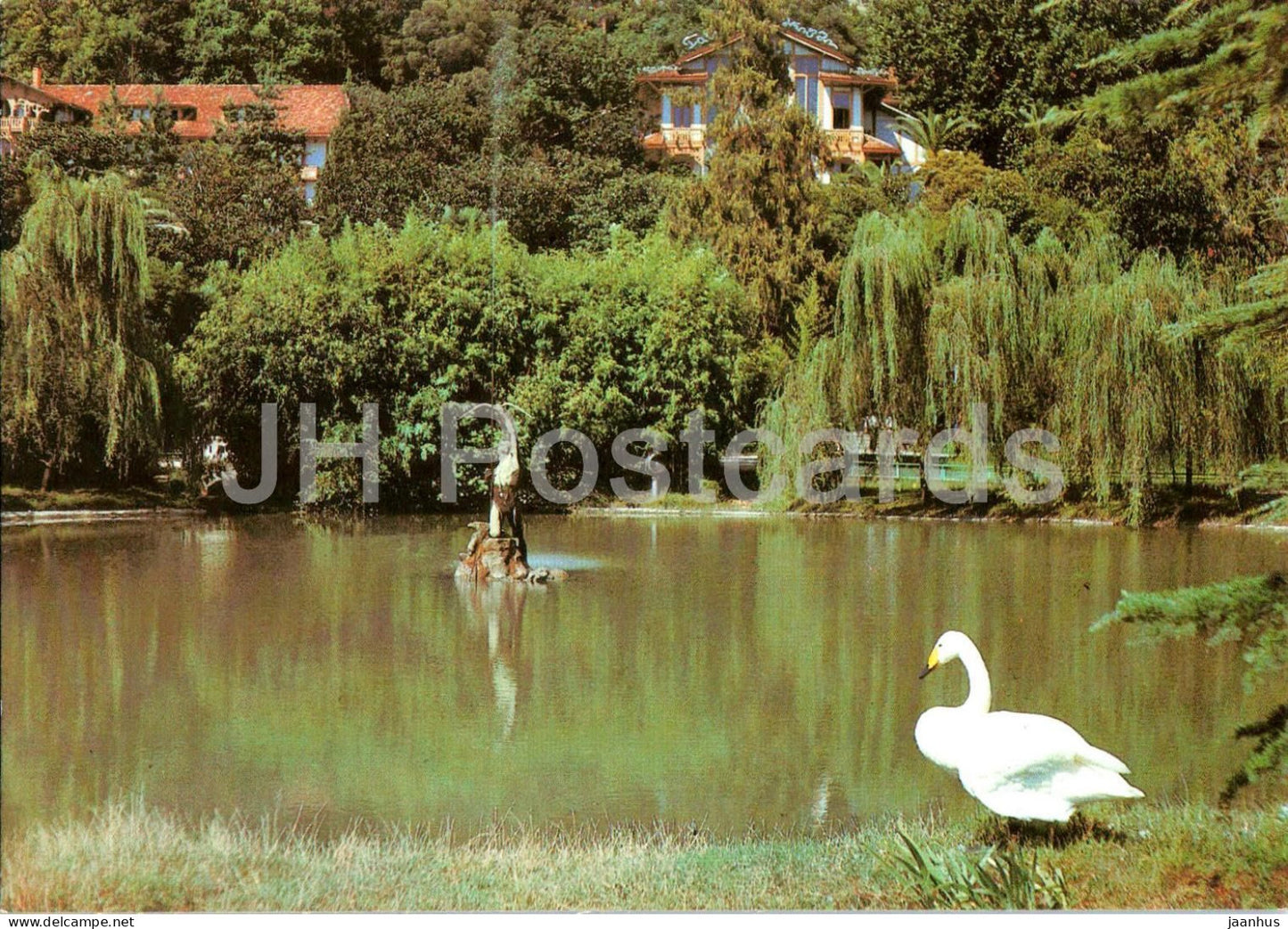 Gagra - Park - Swan - birds - pond - Abkhazia - postal stationery - 1986 - Georgia USSR - unused - JH Postcards