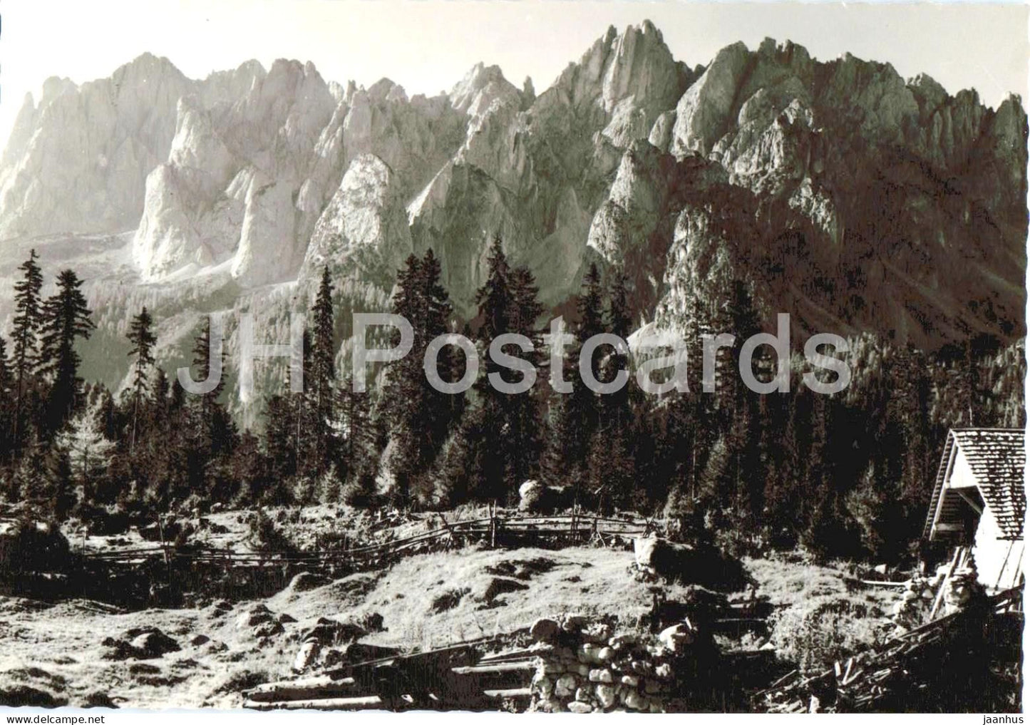 Gosaukamm von der Ebenalm - mountain range - alpine rocks - forest - old postcard - Austria - unused - JH Postcards