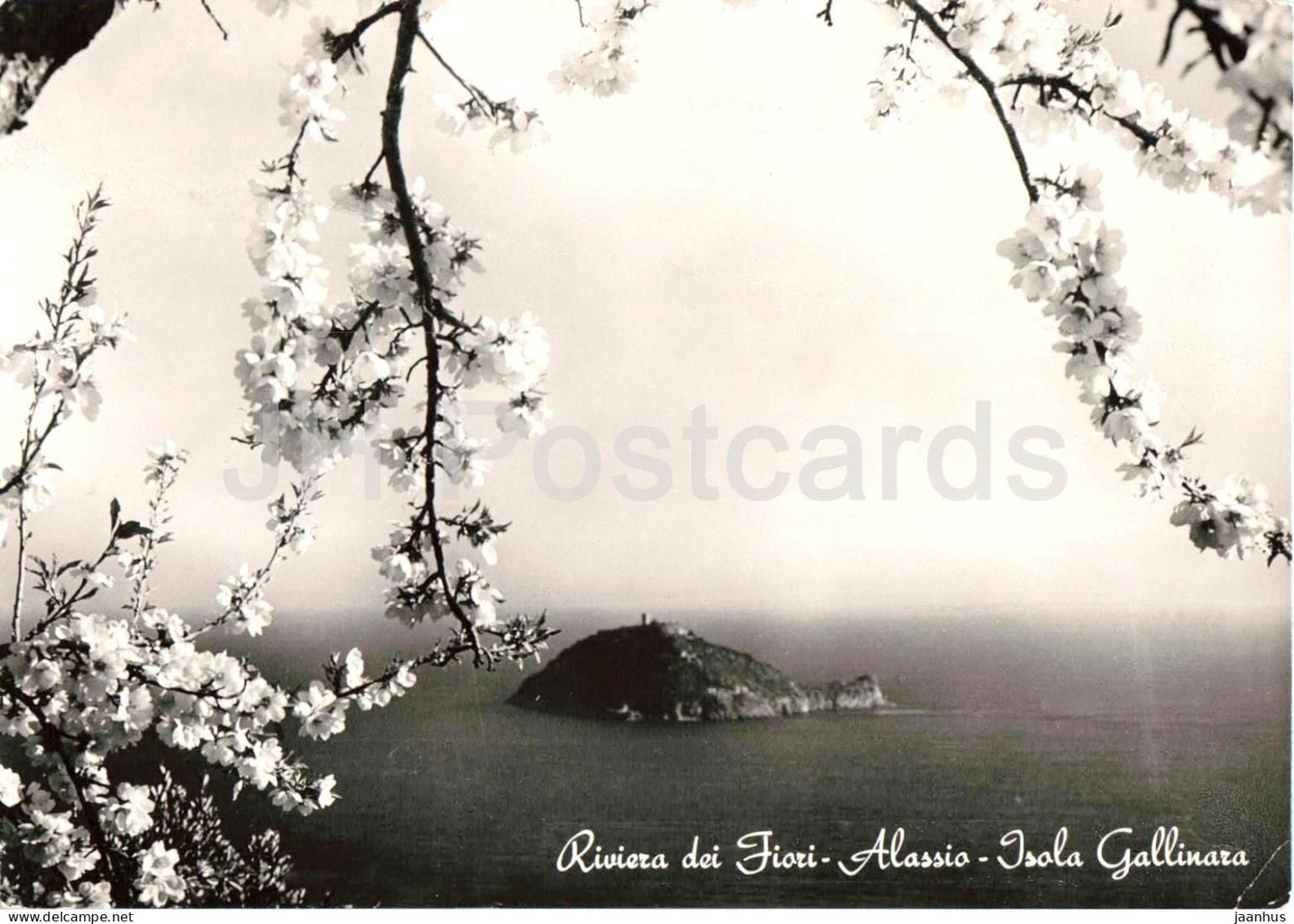 Riviera dei Fiori - Alassio - Isola Gallinara - sland - coast - 88 - old postcard - 1952 - Italy - used - JH Postcards