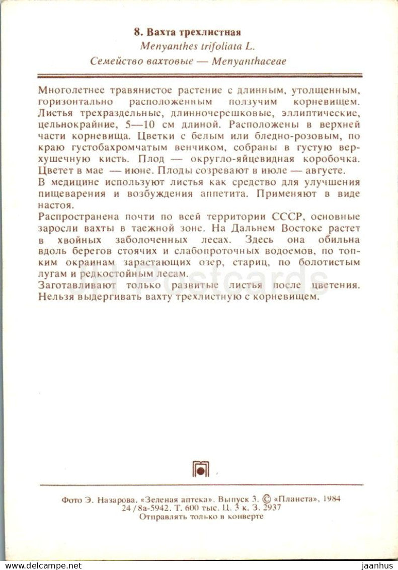Tilleul à feuilles rondes - Menyanthes trifoliata - plantes médicinales - 1984 - Russie URSS - non utilisé 