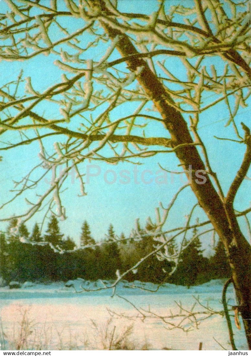 New Year Greeting card - 1 - winter - trees - 1971 - Estonia USSR - used - JH Postcards