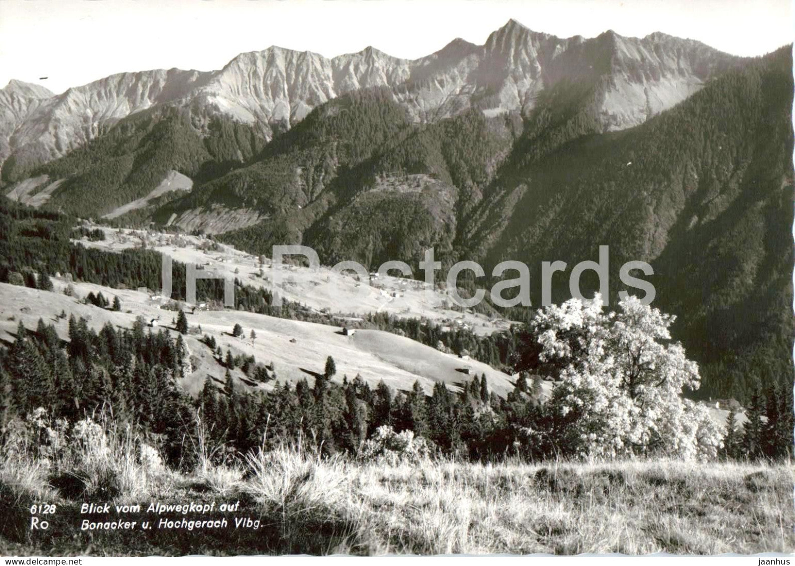 Blick vom Alpwegkopf auf Bonacker und Hochgerach - Vorarlberg - mountain panorama 6128 - old postcard - Austria - unused - JH Postcards