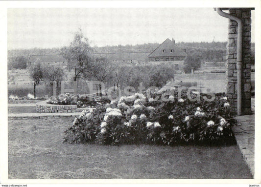 Gleiwitz OS - Waldbad - 1 - Gliwice - Schlesien - Silesia - old postcard - Poland - unused - JH Postcards