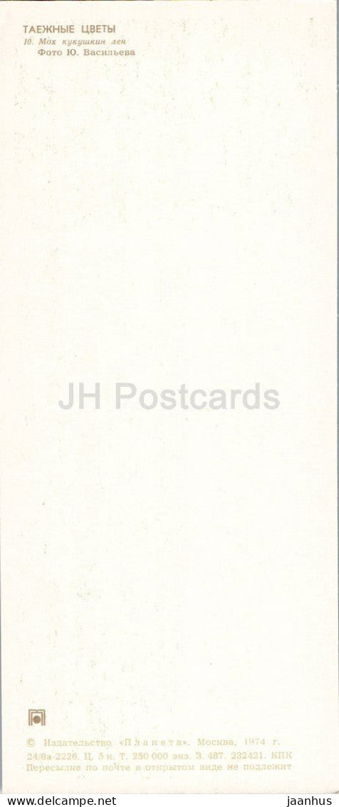 Taiga Flowers - Common haircap moss - Polytrichum commune - botanical photograph - 1974 - Russia - USSR - unused