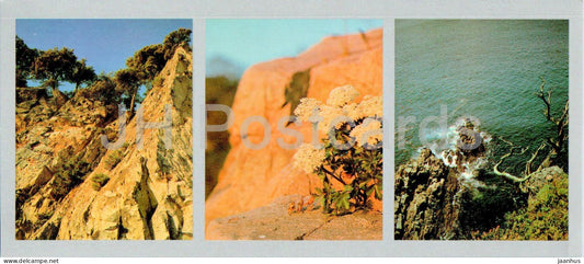 Bay of the Peter the Great - Pine trees - flowers - 1980 - Russia USSR - unused - JH Postcards
