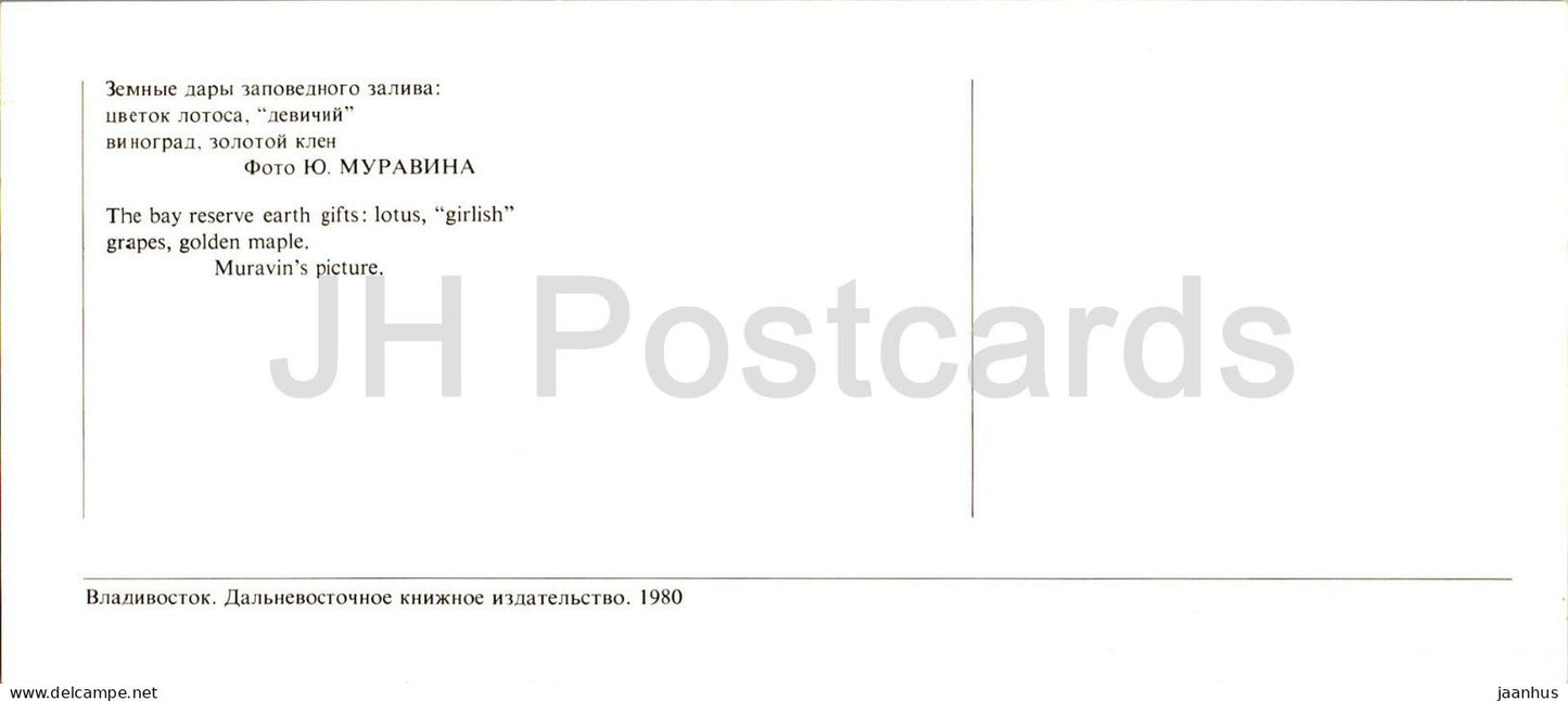 Baie de Pierre le Grand - lotus - Raisins de fille - Érable doré - 1980 - Russie URSS - inutilisé 