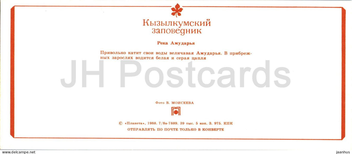 Kyzylkum Nature Reserve - Amu Darya river - Great egret - Grey heron - birds - 1988 - USSR Uzbekistan - unused