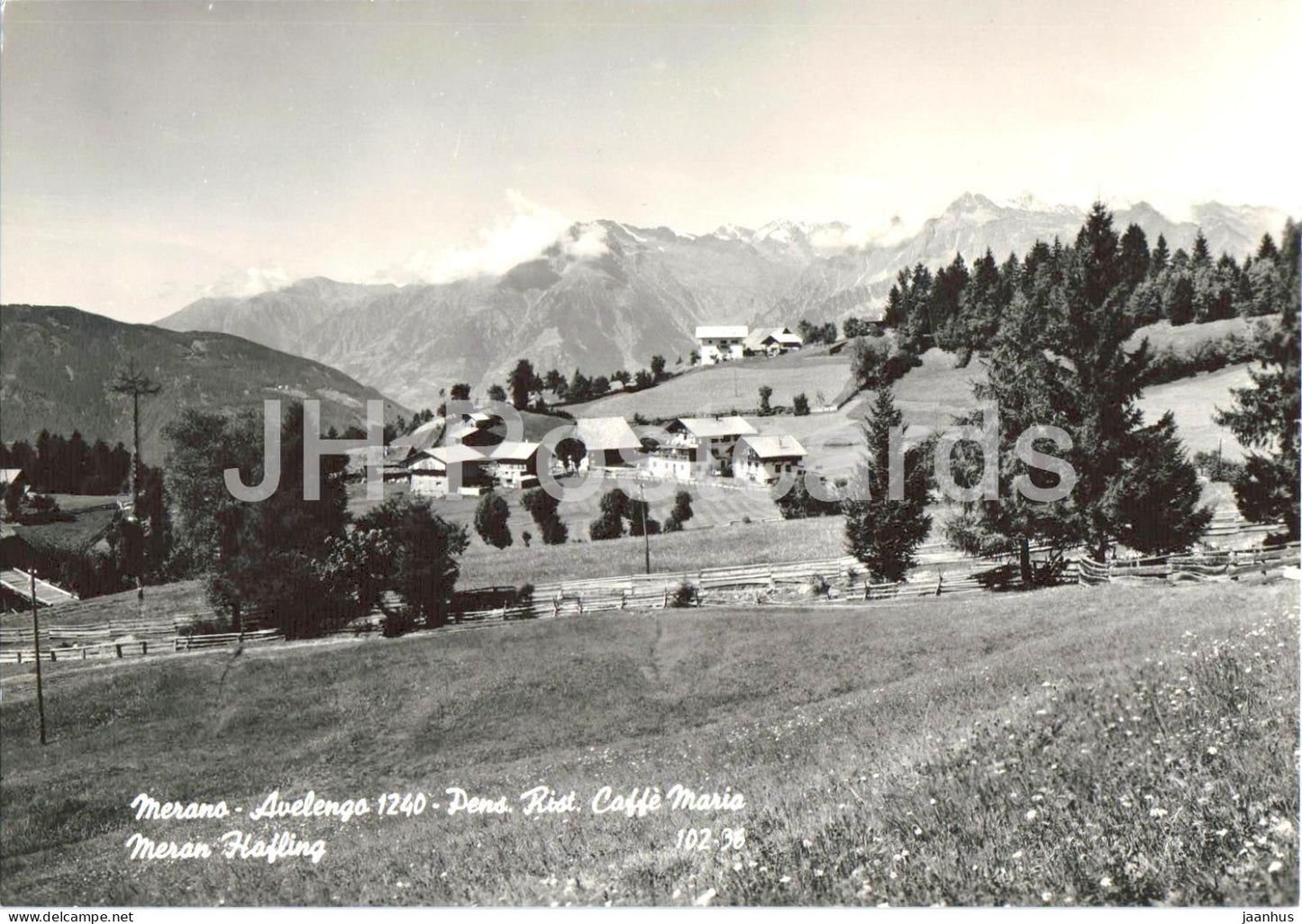 Merano - Avelengo 1240 - Pens. Rist. Caffe Maria - Meran - Hafling - Resataurant - 102-36 old postcard - Italy - unused - JH Postcards
