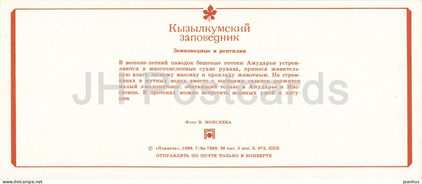 Naturschutzgebiet Kyzylkum – Amphibien und Reptilien – Amudarja – Würfelnatter – Frosch – 1988 – UdSSR, Usbekistan – ungenutzt 