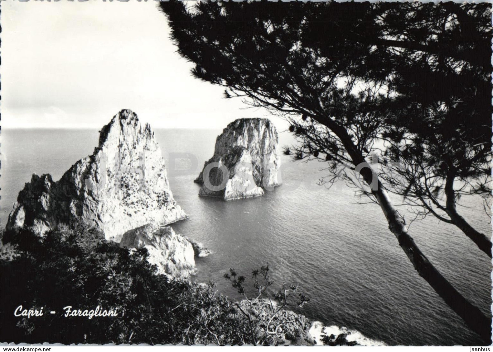 Capri - Faraglioni - Faraglioni Rocks - cliffs - Mediterranean landscape - 3043 - old postcard - Italy - unused - JH Postcards