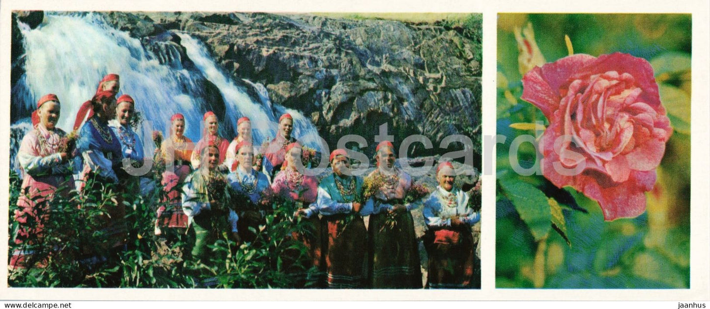 Taiga Flowers - cinnamon rose - Rosa majalis - botanical photograph - 1974 - Russia - USSR - unused - JH Postcards
