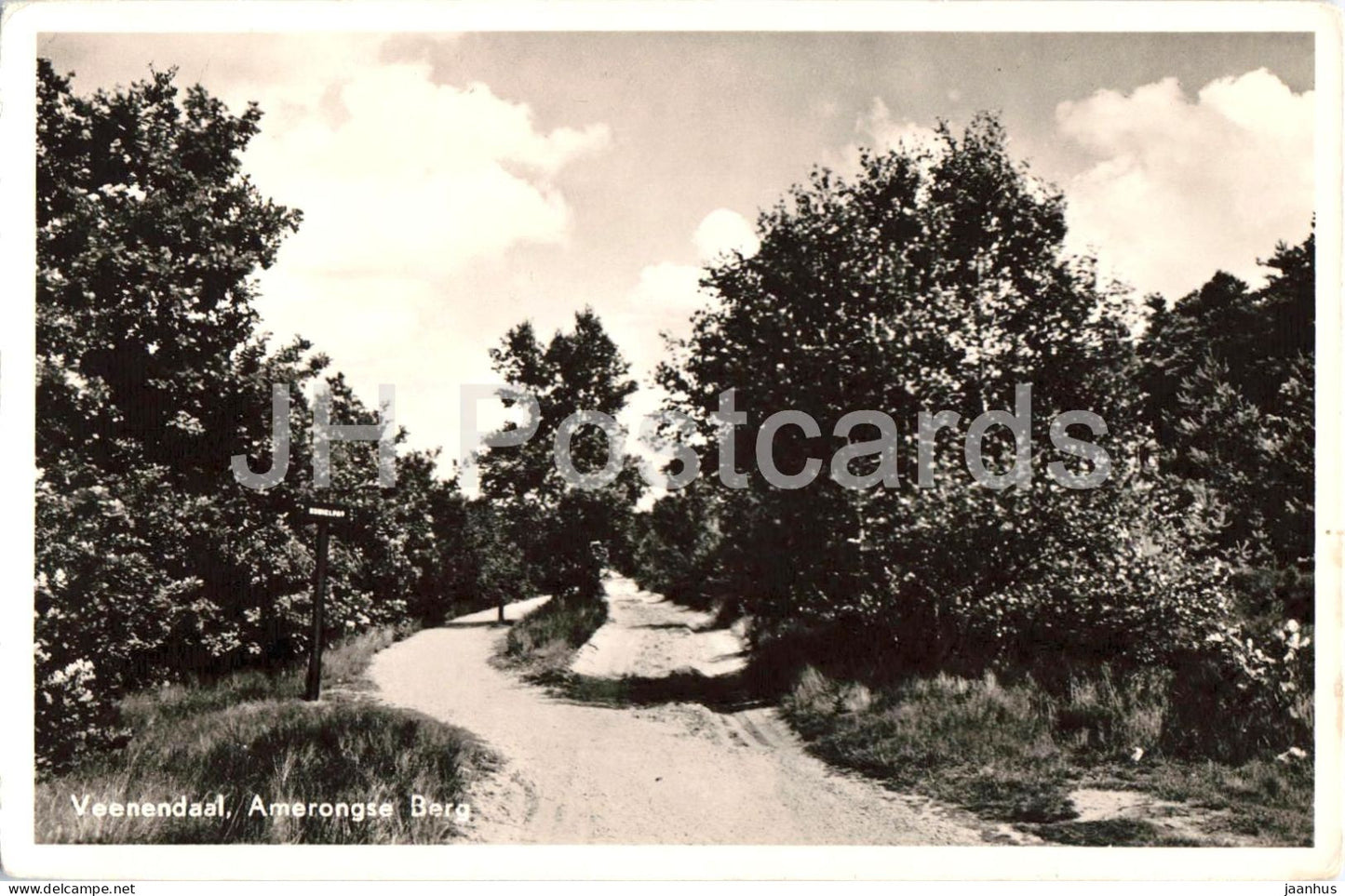 Veenendaal - Amerongse Berg - Amerongen Hill - forest road - old postcard - 1956 - Netherlands - used - JH Postcards