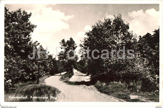 Veenendaal - Amerongse Berg - Amerongen Hill - forest road - old postcard - 1956 - Netherlands - used - JH Postcards