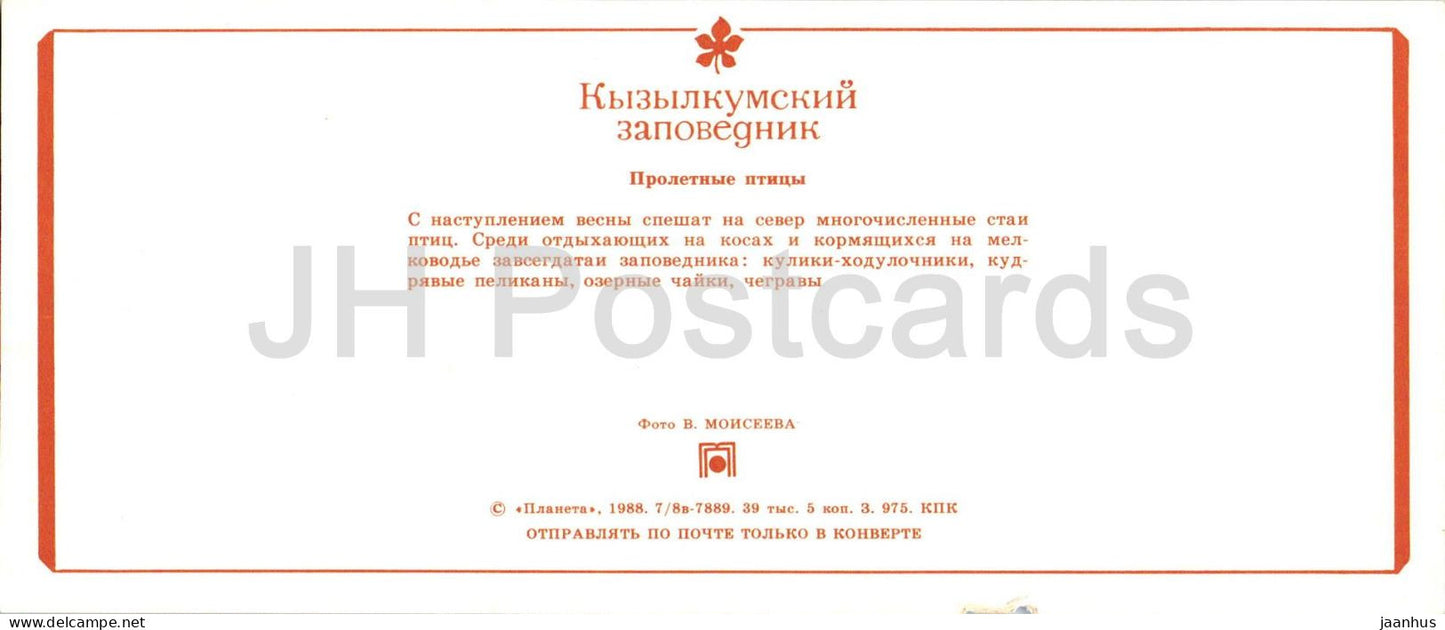 Kyzylkum Nature Reserve - Migratory birds - Caspian tern - Dalmatian pelican - 1988 - USSR Uzbekistan - unused