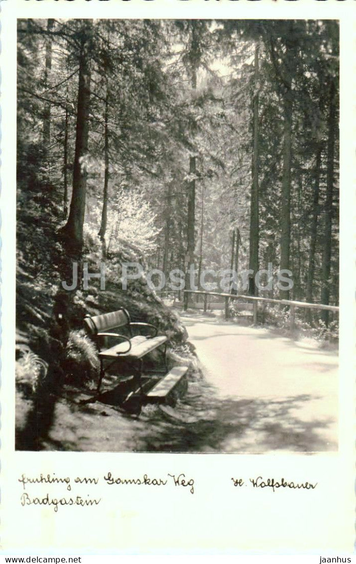 Fruhling am Gamskar Weg - Badgastein - old postcard - 1941 - Austria - used - JH Postcards