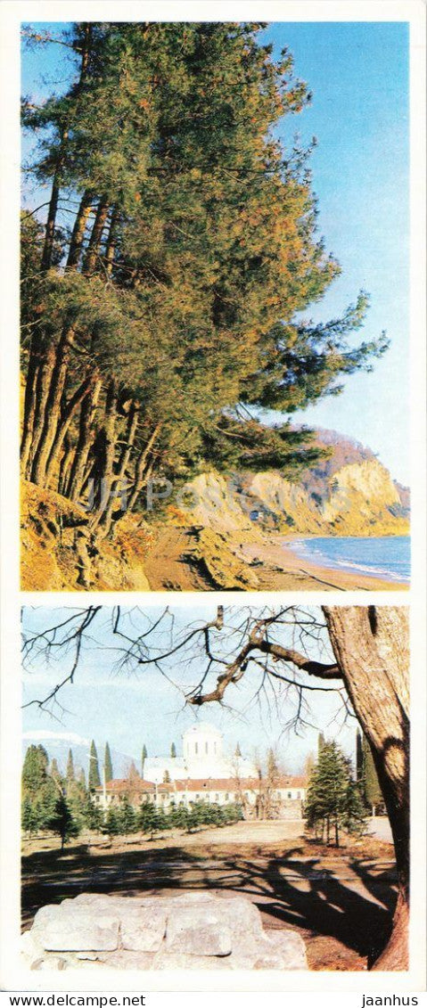 Abkhazia - cape Pitsunda - relict pine grove on the coast - 1976 - Georgia - USSR - unused - JH Postcards