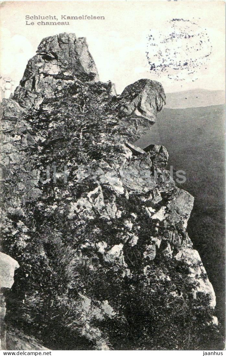 Schlucht - Kamelfelsen - Le Chameau - mountains - rocks - old postcard - 1913 - France - used - JH Postcards