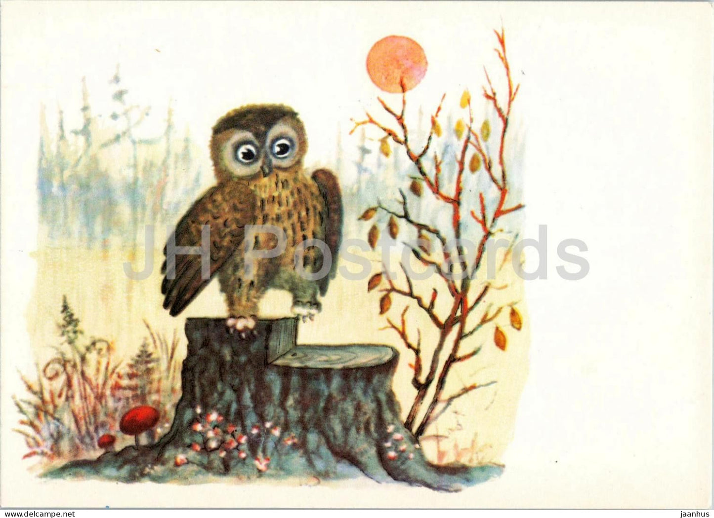 Owl - Sovushka Sova - birds - Russian Fairy Tales - illustration by Vasnetsov - 1969 - Russia USSR - unused - JH Postcards