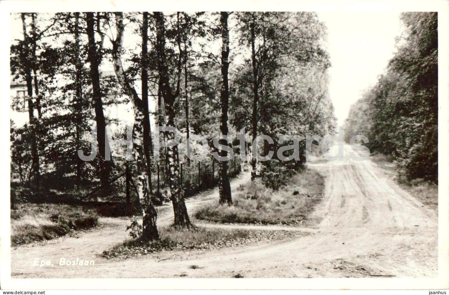 Epe - Boslaan - Forest Avenue - road - trees - 456 - old postcard - 1957 - Netherlands - used - JH Postcards