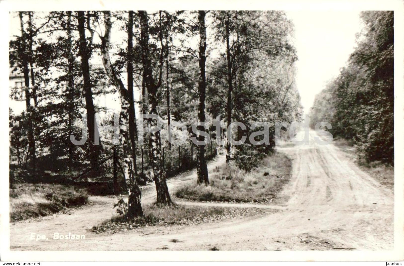 Epe - Boslaan - Forest Avenue - road - trees - 456 - old postcard - 1957 - Netherlands - used - JH Postcards